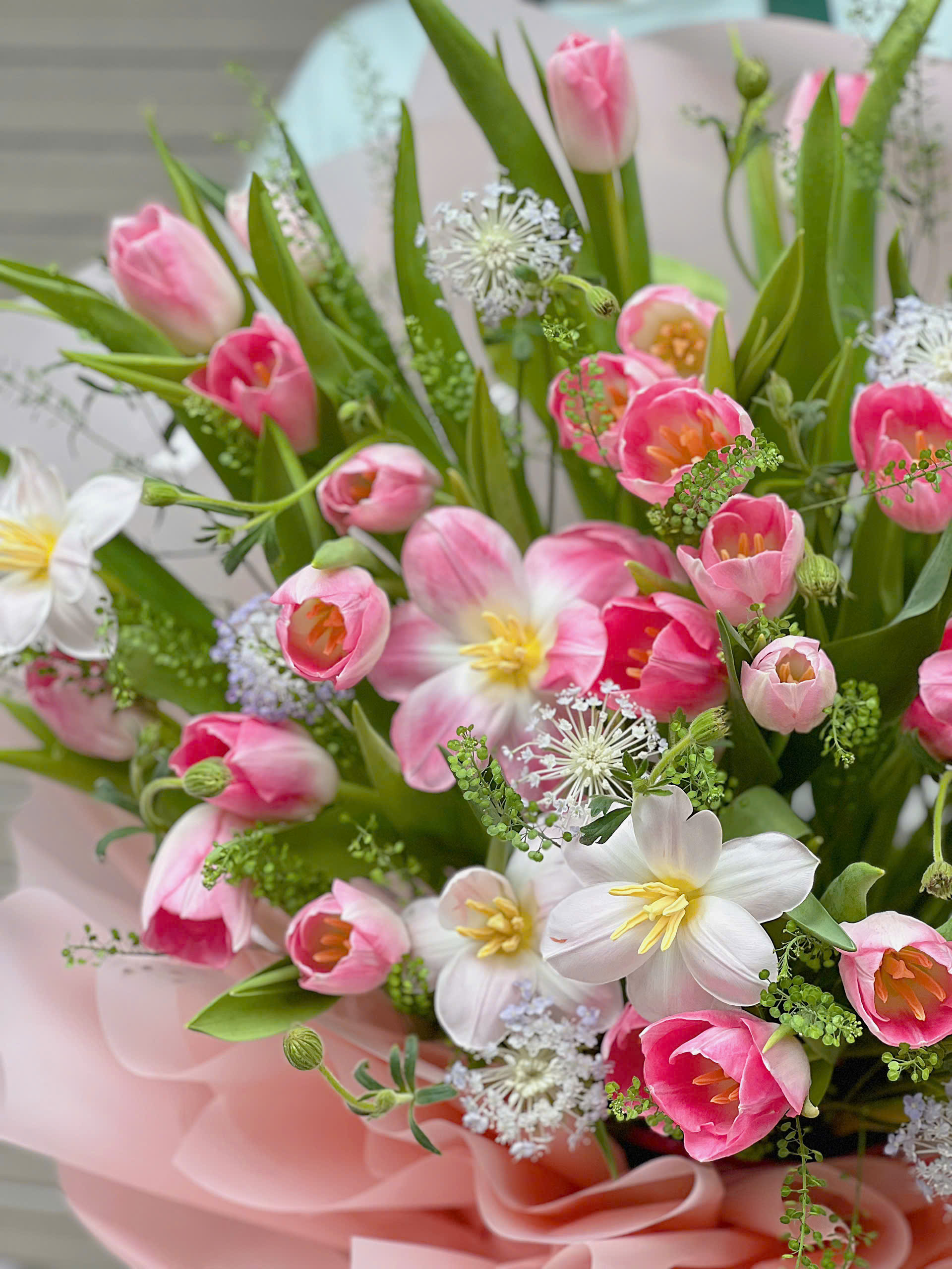 Bó TuLip Lớn Mix Thúy Châu