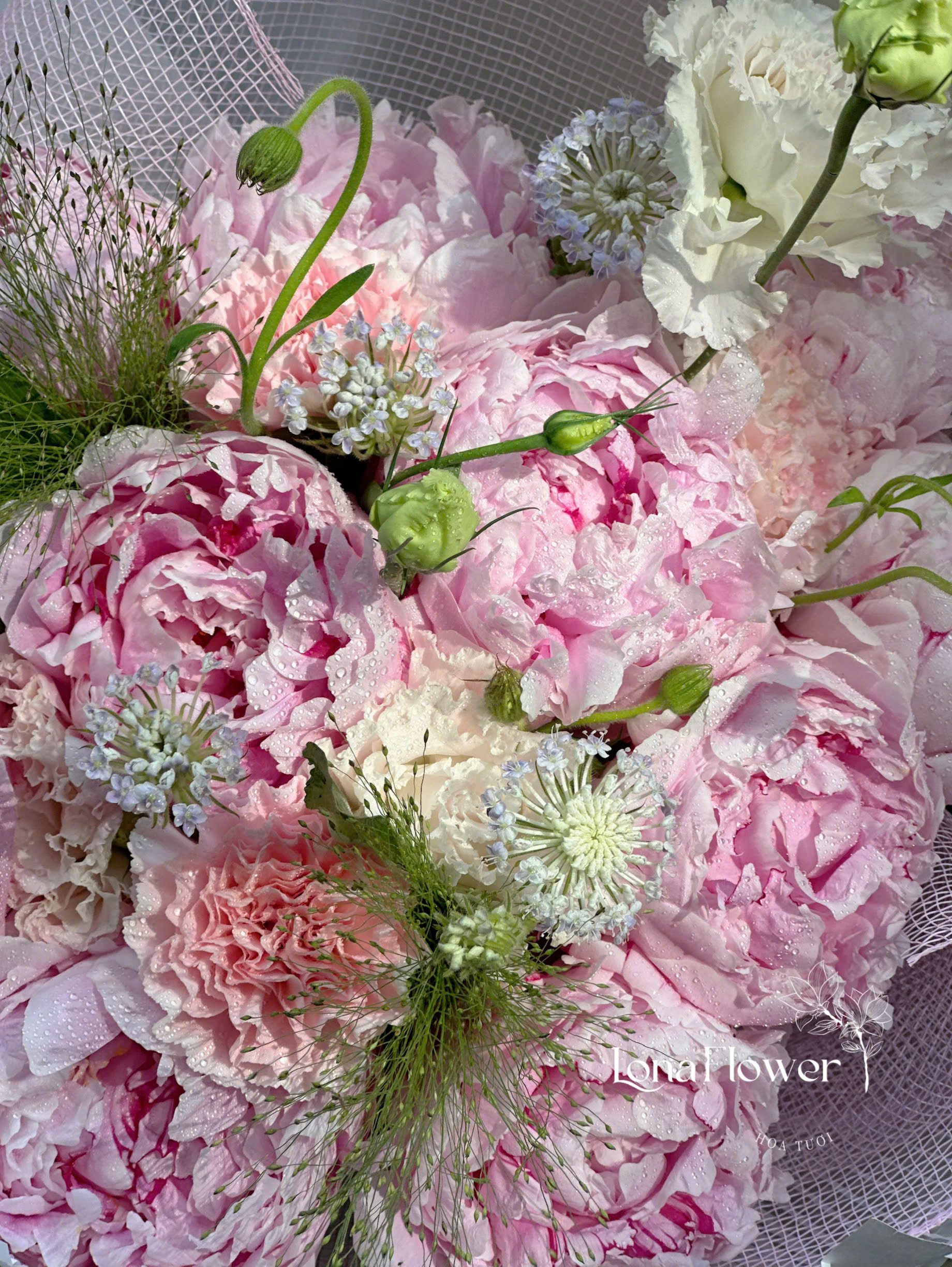 BH-201 Bó Peony Tone Hồng