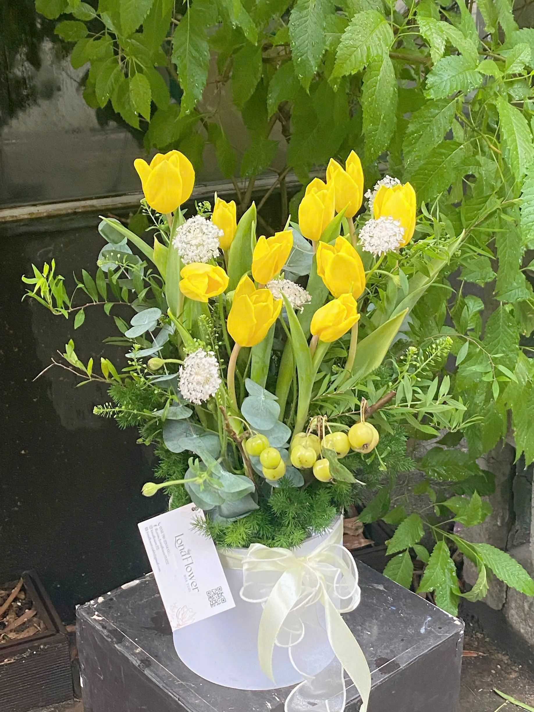 Hộp Hoa Tulip Vàng "Nắng Mai Hạnh Phúc" ☀️ - Nguồn Năng Lượng Tươi Sáng