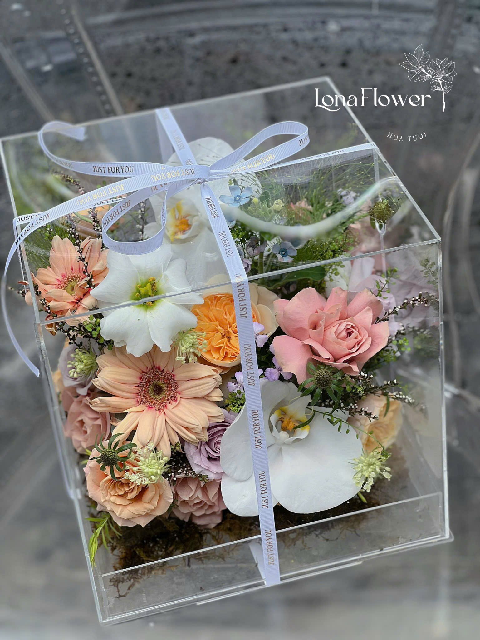 Vali Mica Cát Tường, Hồng, Đồng Tiền & Lan  - Quà Tặng Sang Trọng & Độc Đáo 🎁✨