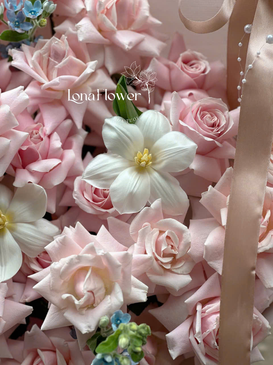 Bó Hoa Hồng Pastel & Tulip Tinh Khôi 🌷💖✨