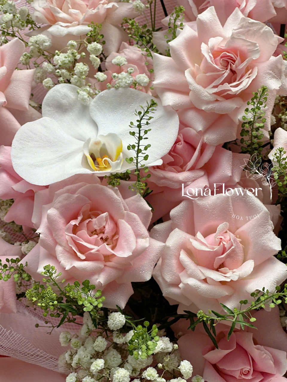 Bó Hoa Hồng Phấn Lẫn Cánh Mix Lan Hồ Điệp Tinh Khôi 🌹 orchid_flower ✨