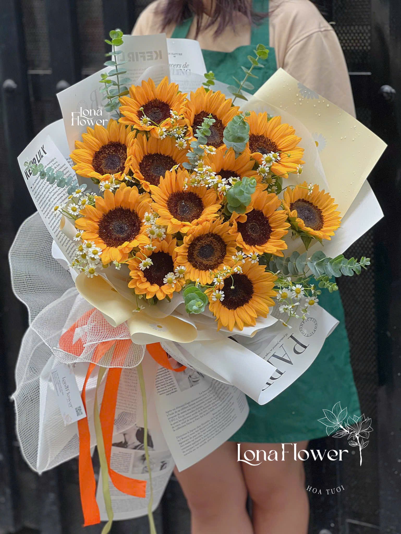  Bó Hoa Hướng Dương Cúc Tana Lá Bạc ✨🌻🌼