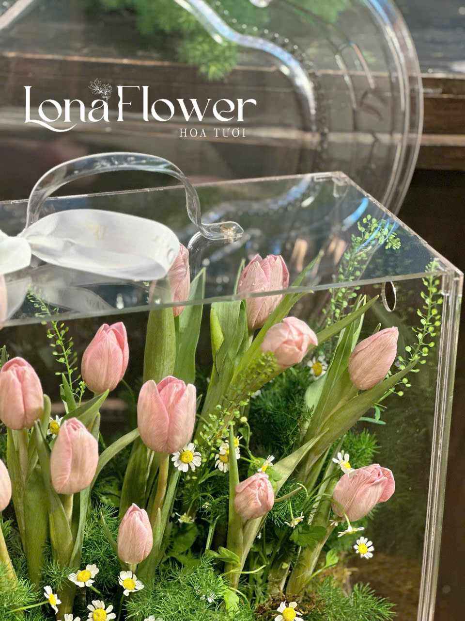 Vali Mica Tulip "Nụ Hôn Hồng Phấn" 🌸 - Hộp Quà Tinh Tế & Thanh Khiết