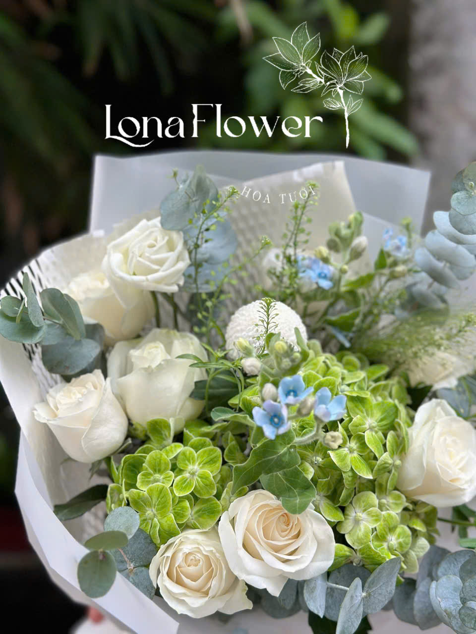 Bó Hoa "Khởi Đầu An Lành" 🕊️ - Hồng Trắng & Cẩm Tú Cầu Xanh Lá