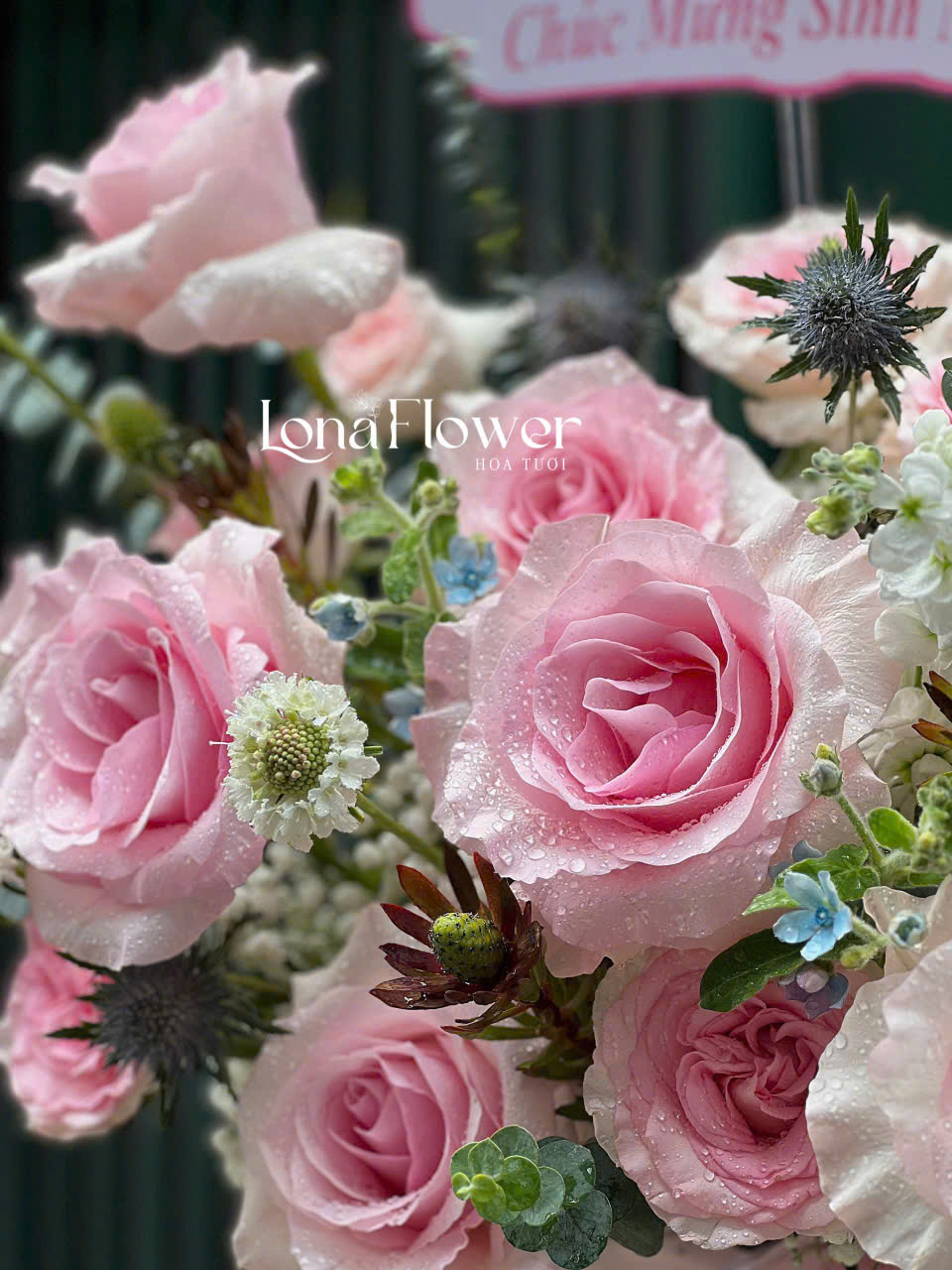 Box Hoa Hồng Nhập Tone Hồng Pastel