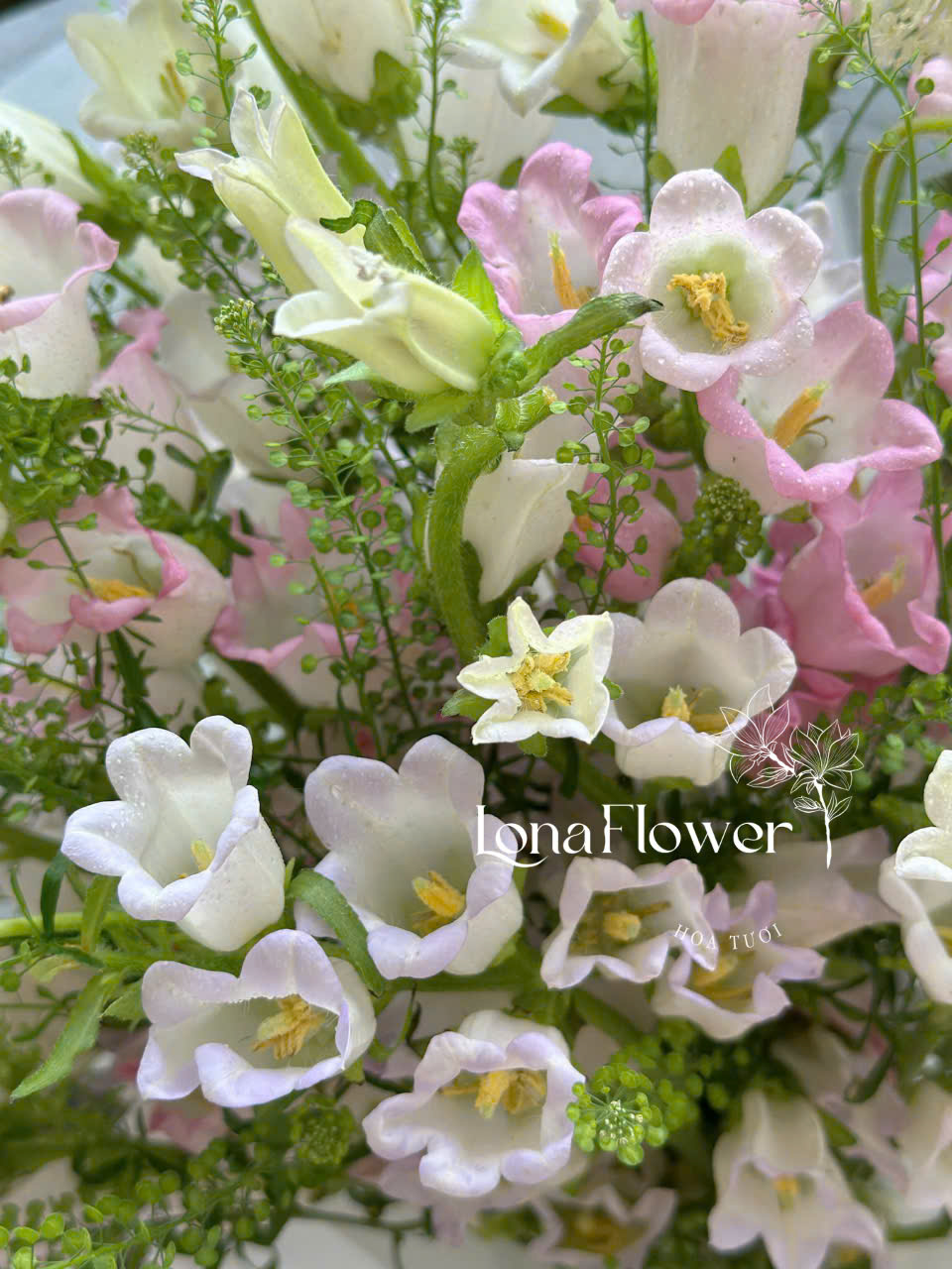 Bó Hoa Chuông Hồng Pastel "Giai Điệu Tình Yêu" Dịu Dàng & Thanh Khiết 🔔💖✨
