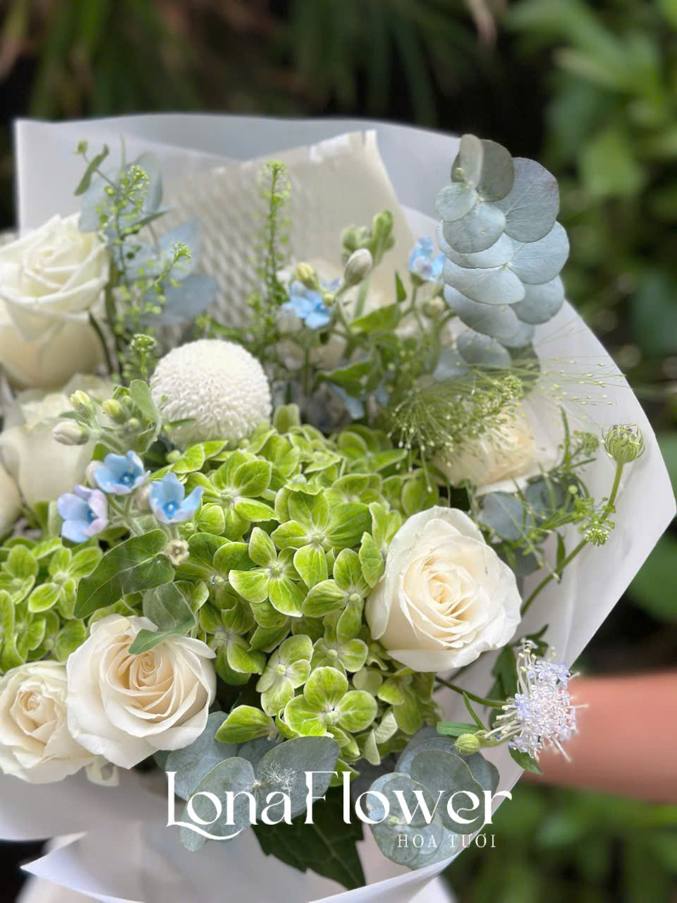Bó Hoa "Khởi Đầu An Lành" 🕊️ - Hồng Trắng & Cẩm Tú Cầu Xanh Lá