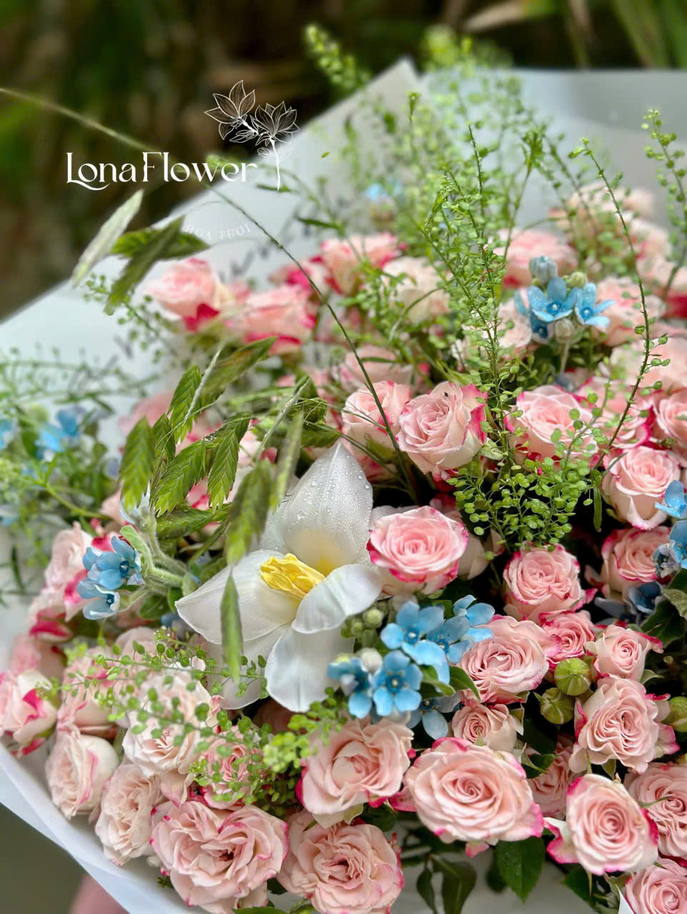 Bó Hoa "Khúc Tình Ca Dịu Kỳ" 🎶 - Hồng Triết Xạ, Tulip & Sao Xanh