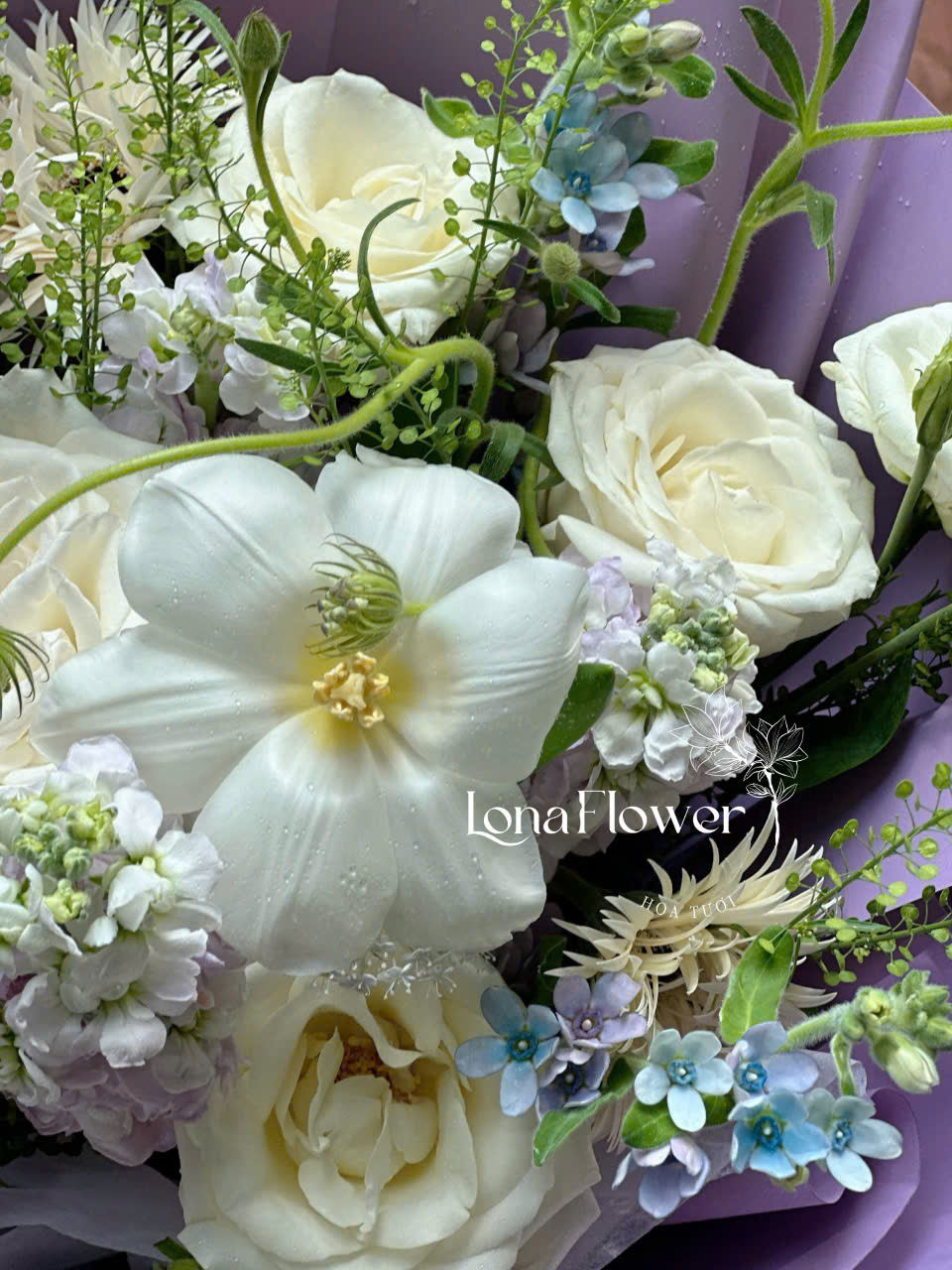 BH-179 Bó Hồng Trắng Mix Tulip & Phi Yến
