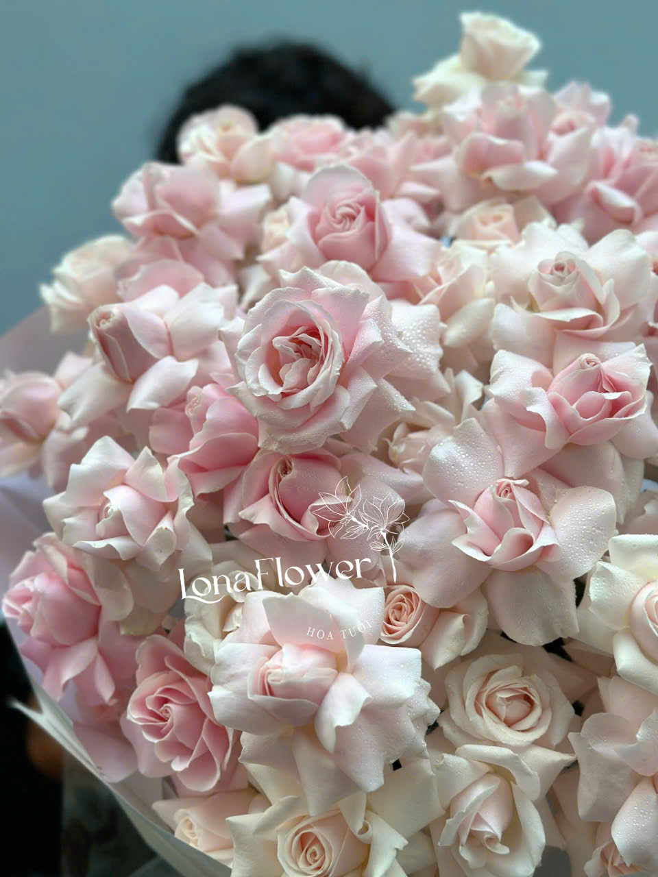 Bó Hồng Lớn Tone Pastel