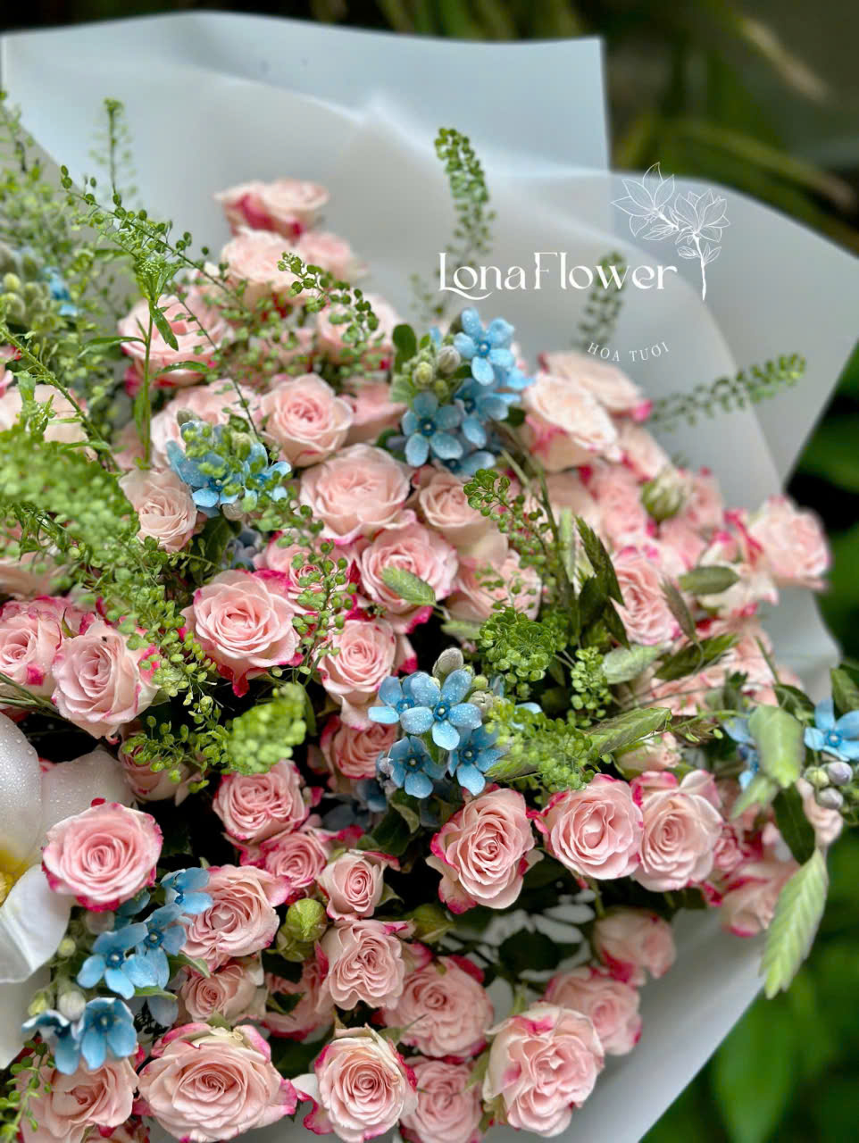 Bó Hoa "Khúc Tình Ca Dịu Kỳ" 🎶 - Hồng Triết Xạ, Tulip & Sao Xanh