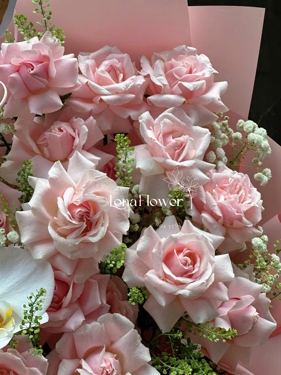 Bó Hoa Hồng Phấn Lẫn Cánh Mix Lan Hồ Điệp Tinh Khôi 🌹 orchid_flower ✨