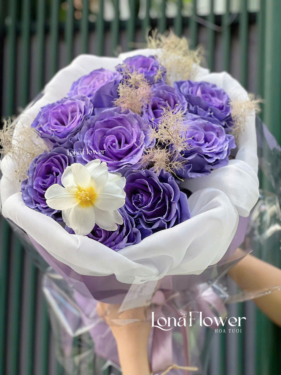 Bó Hoa Hồng Ecudor Tím Đậm