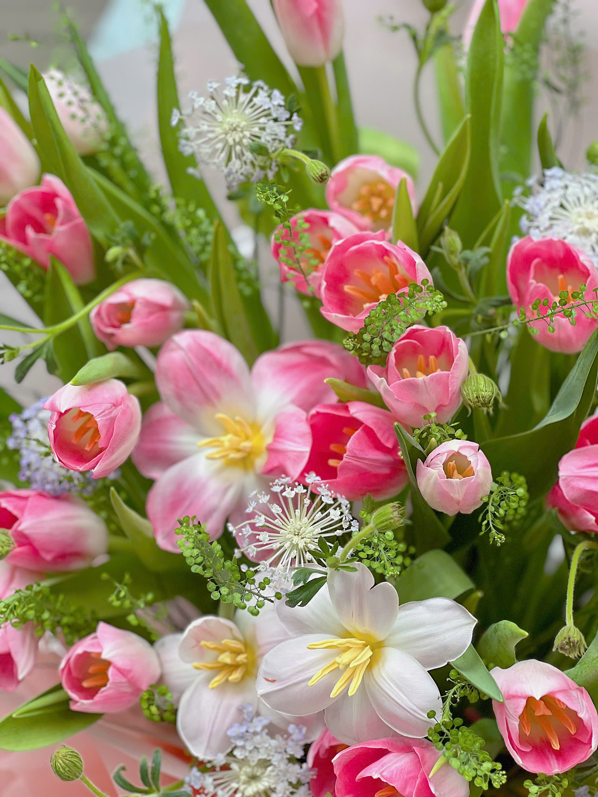 Bó TuLip Lớn Mix Thúy Châu