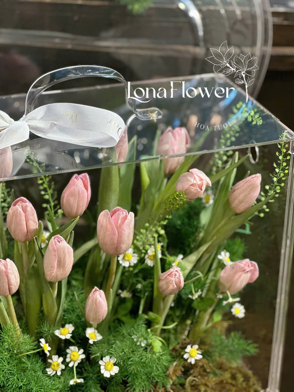 Vali Mica Tulip "Nụ Hôn Hồng Phấn" 🌸 - Hộp Quà Tinh Tế & Thanh Khiết