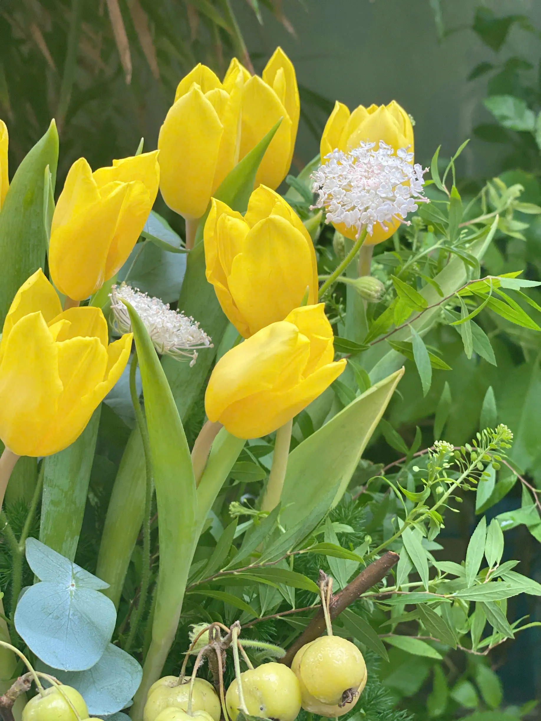 Hộp Hoa Tulip Vàng "Nắng Mai Hạnh Phúc" ☀️ - Nguồn Năng Lượng Tươi Sáng