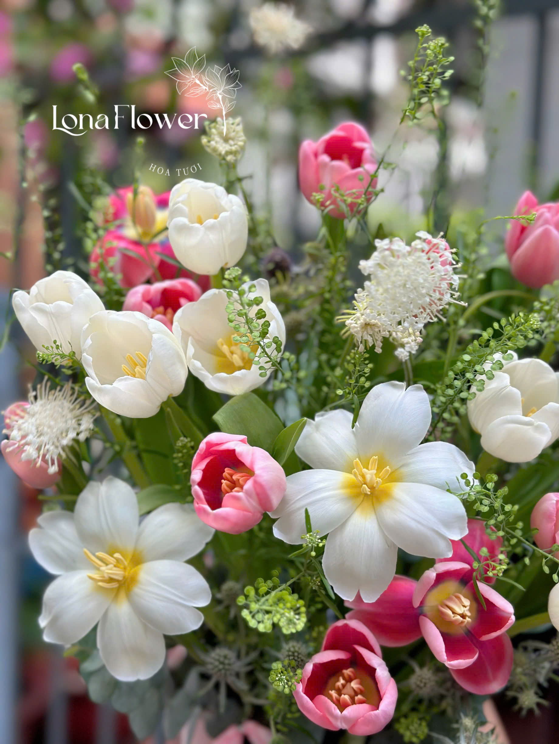 Box Hoa Tulip Hồng&Trắng Tươi Mới