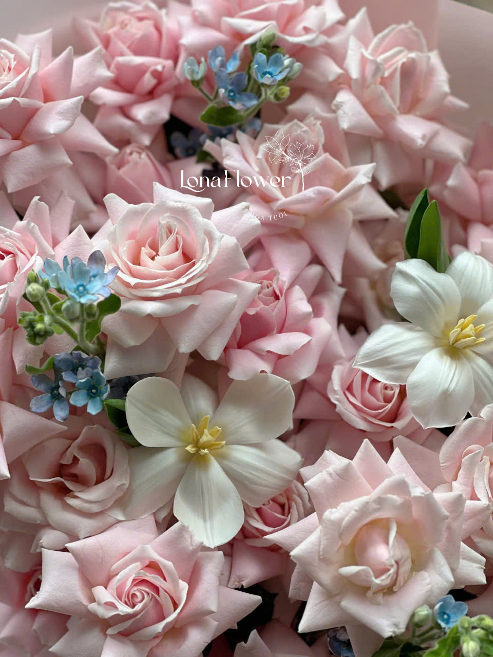 Bó Hoa Hồng Pastel & Tulip Tinh Khôi 🌷💖✨