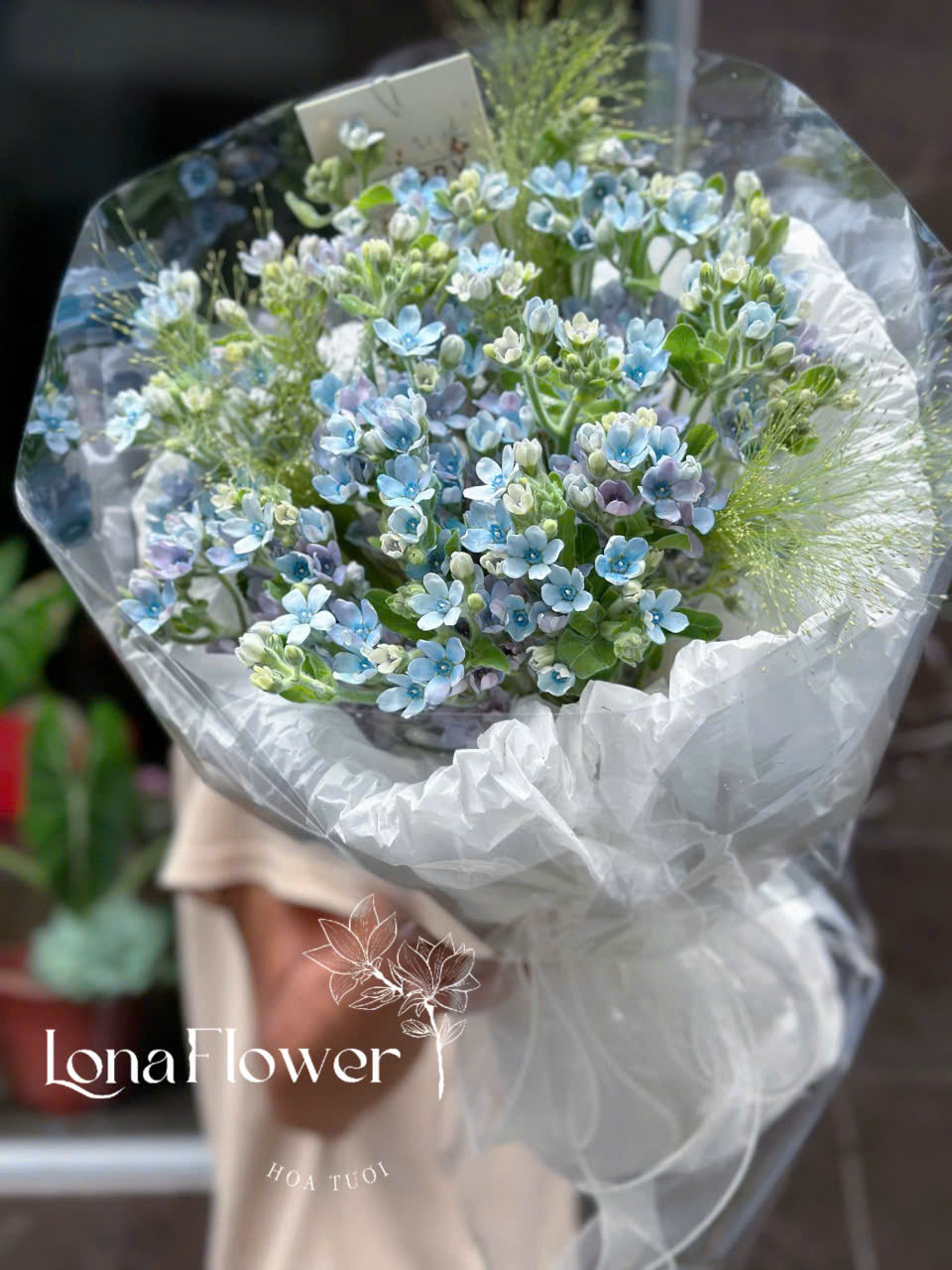 Bó Hoa "Lam Tinh An Nhiên" 💙 - Sao Xanh Tinh Khôi & Lời Hứa Vĩnh Cửu