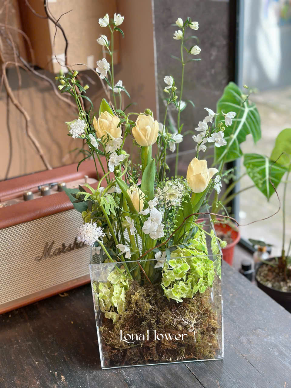 Hộp Hoa "Khúc Ca Bình Minh" ☀️ - Tulip, Cát Tường & Delphin 