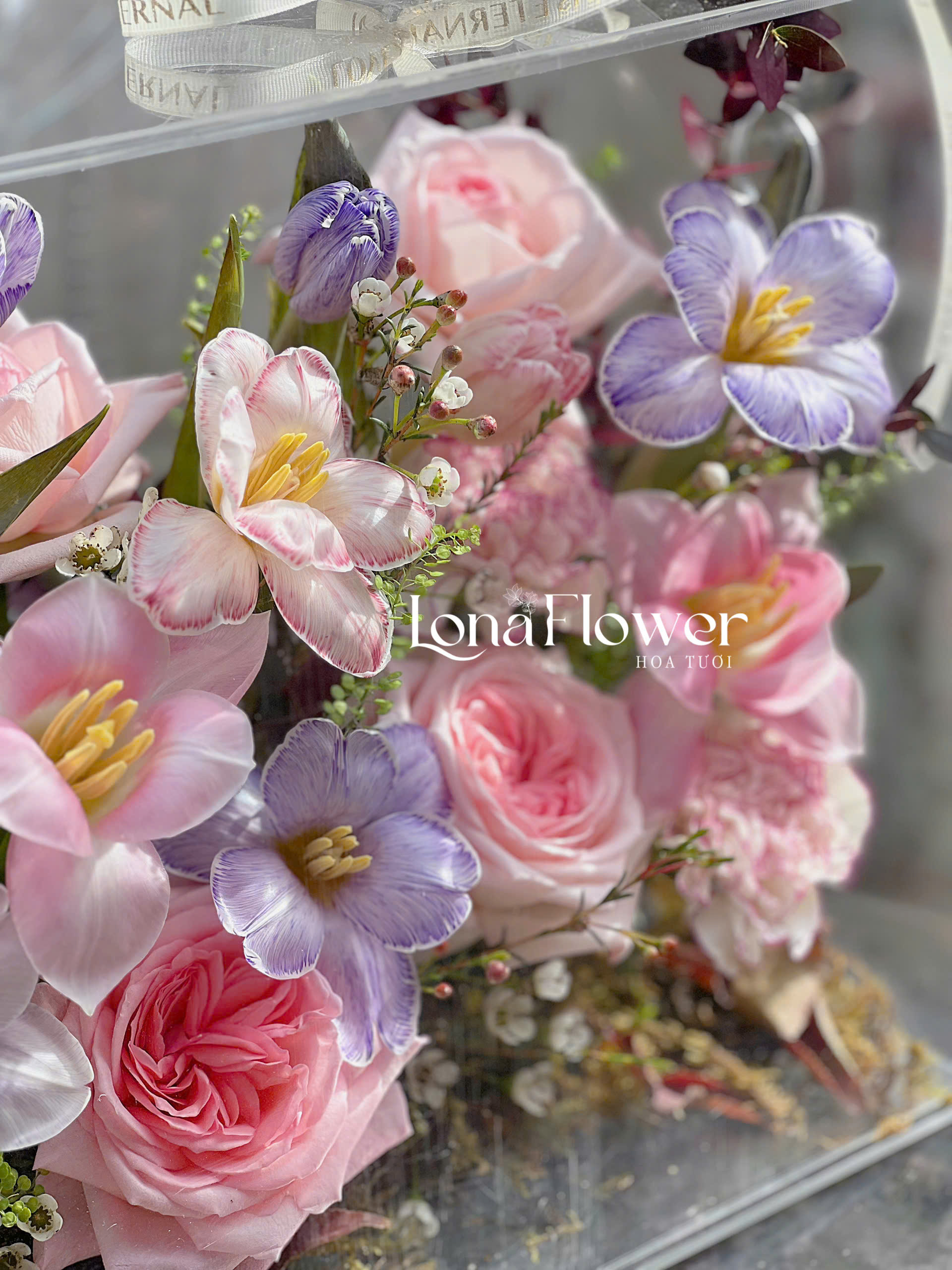 Vali Mica Tulip Tone Hồng & Lavender