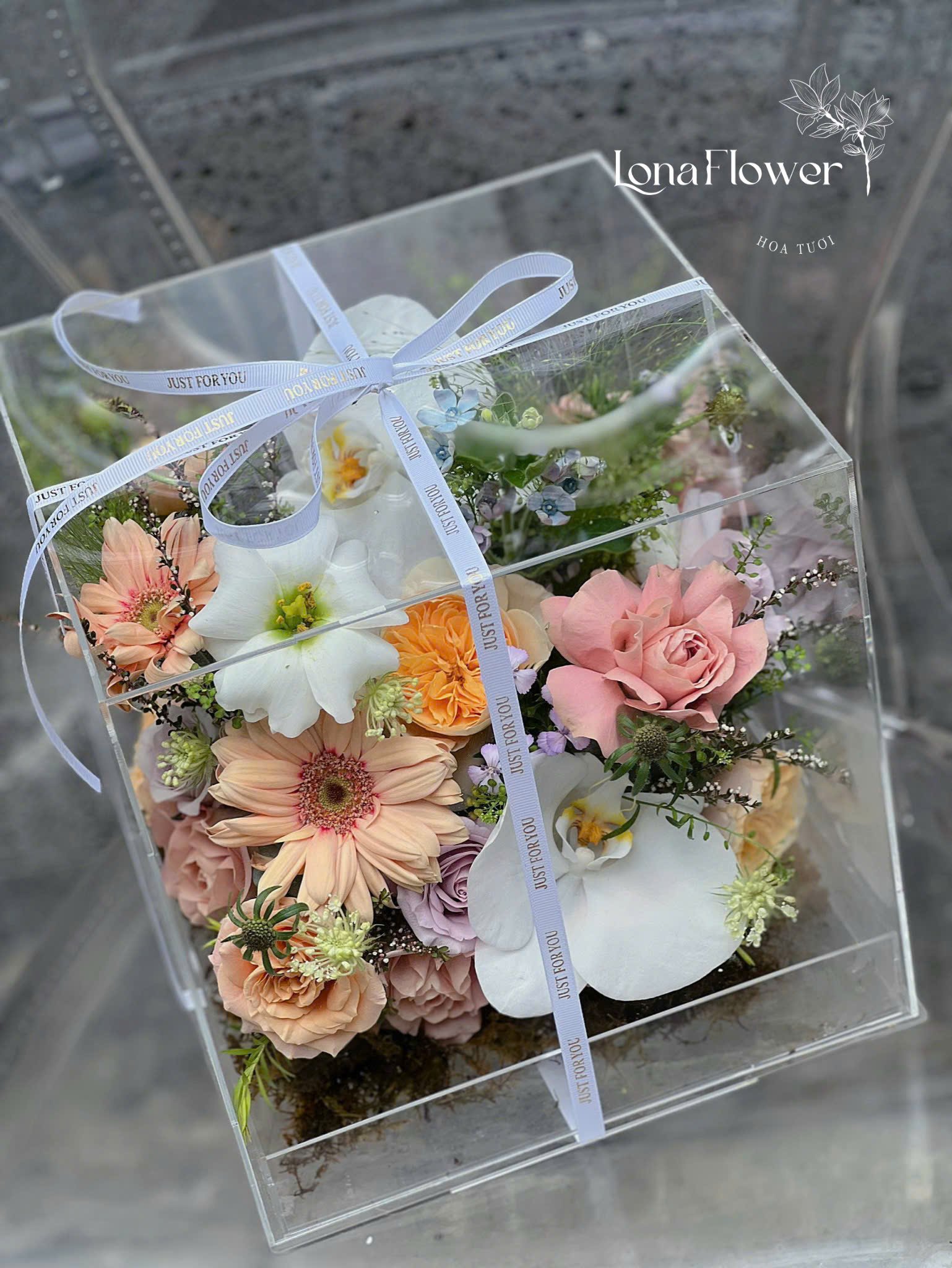 Vali Mica Cát Tường, Hồng, Đồng Tiền & Lan  - Quà Tặng Sang Trọng & Độc Đáo 🎁✨