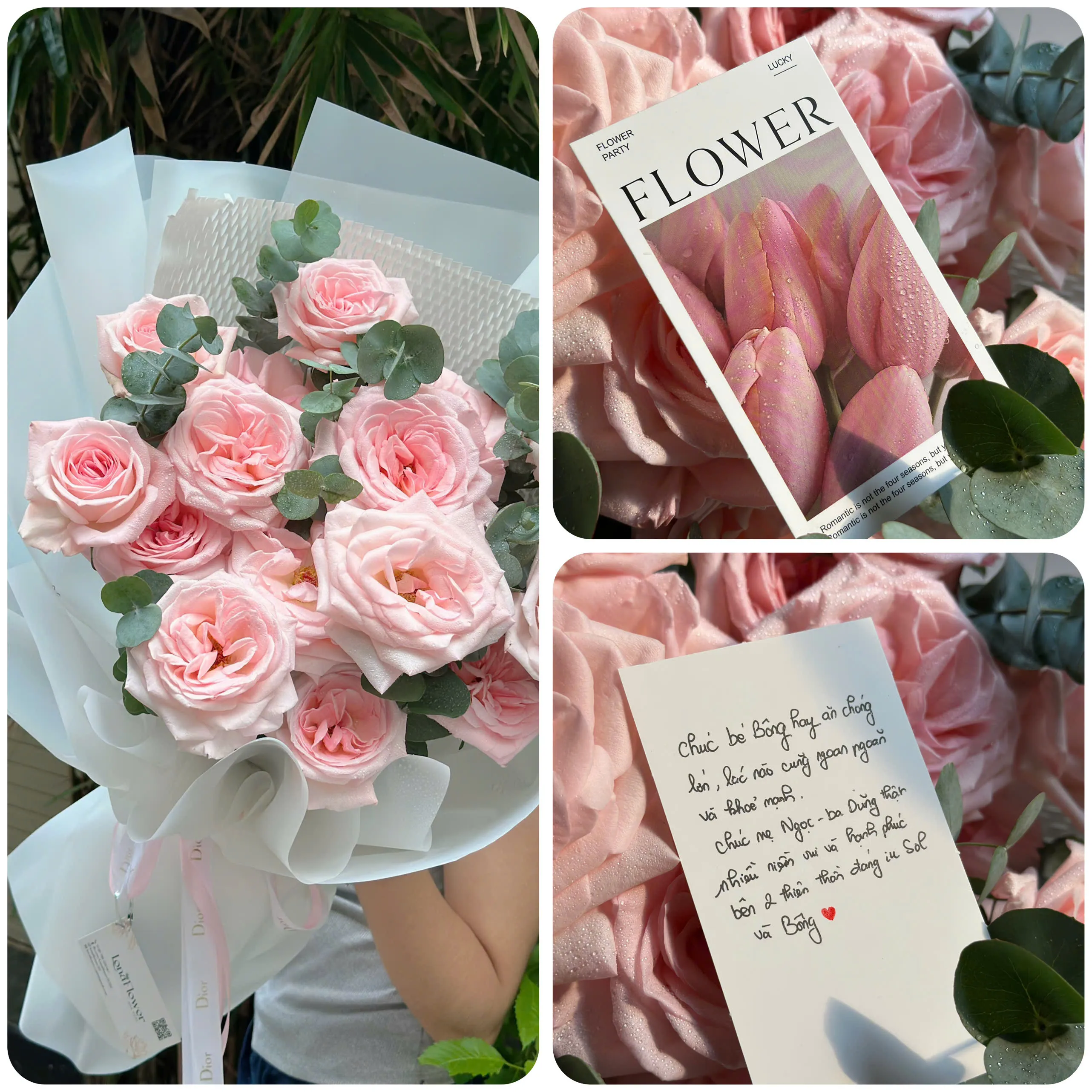  Bó Hoa "Tình Yêu Kiêu Sa" 💖 - Hồng Ohara Hồng Phấn