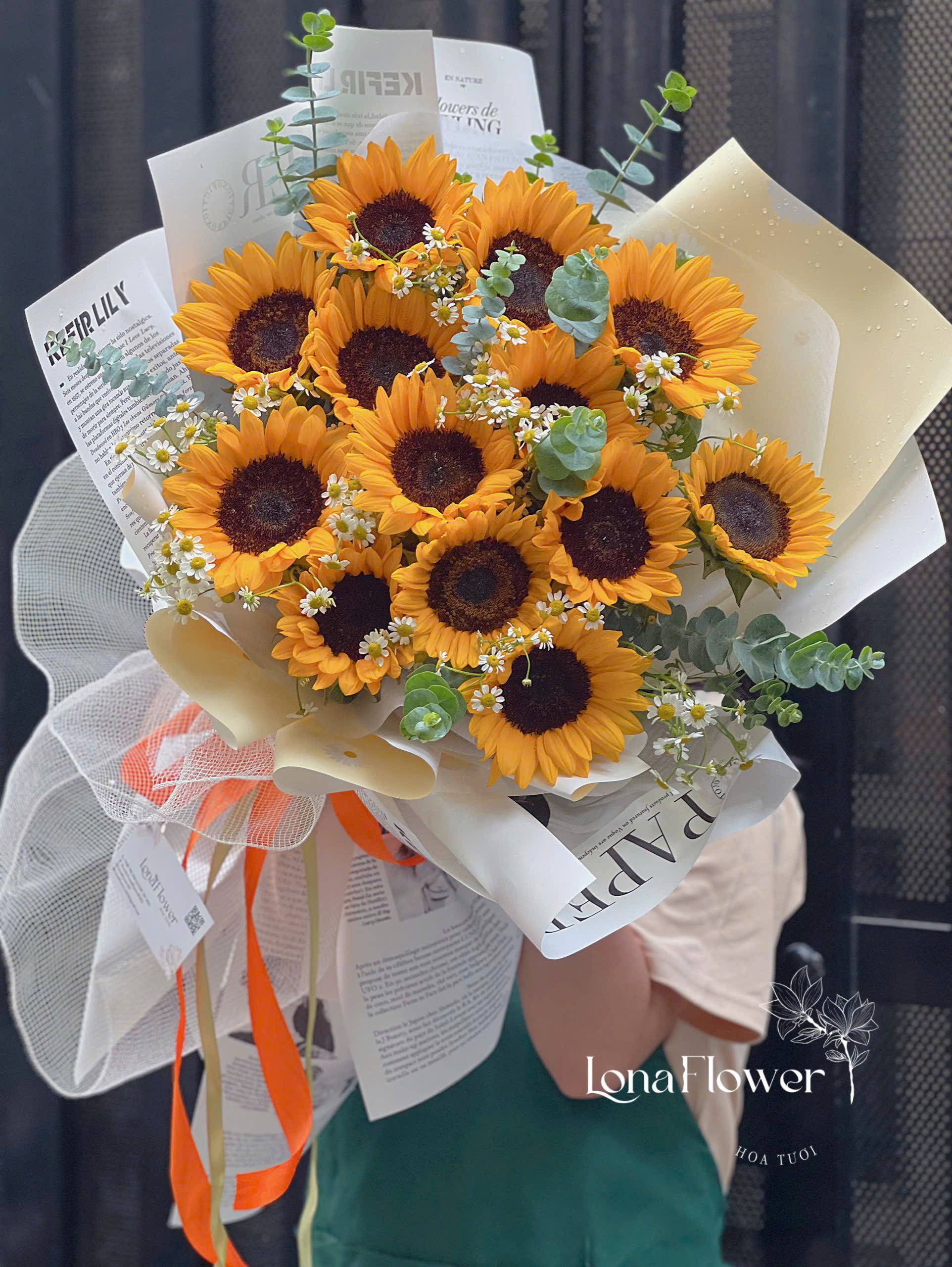  Bó Hoa Hướng Dương Cúc Tana Lá Bạc ✨🌻🌼