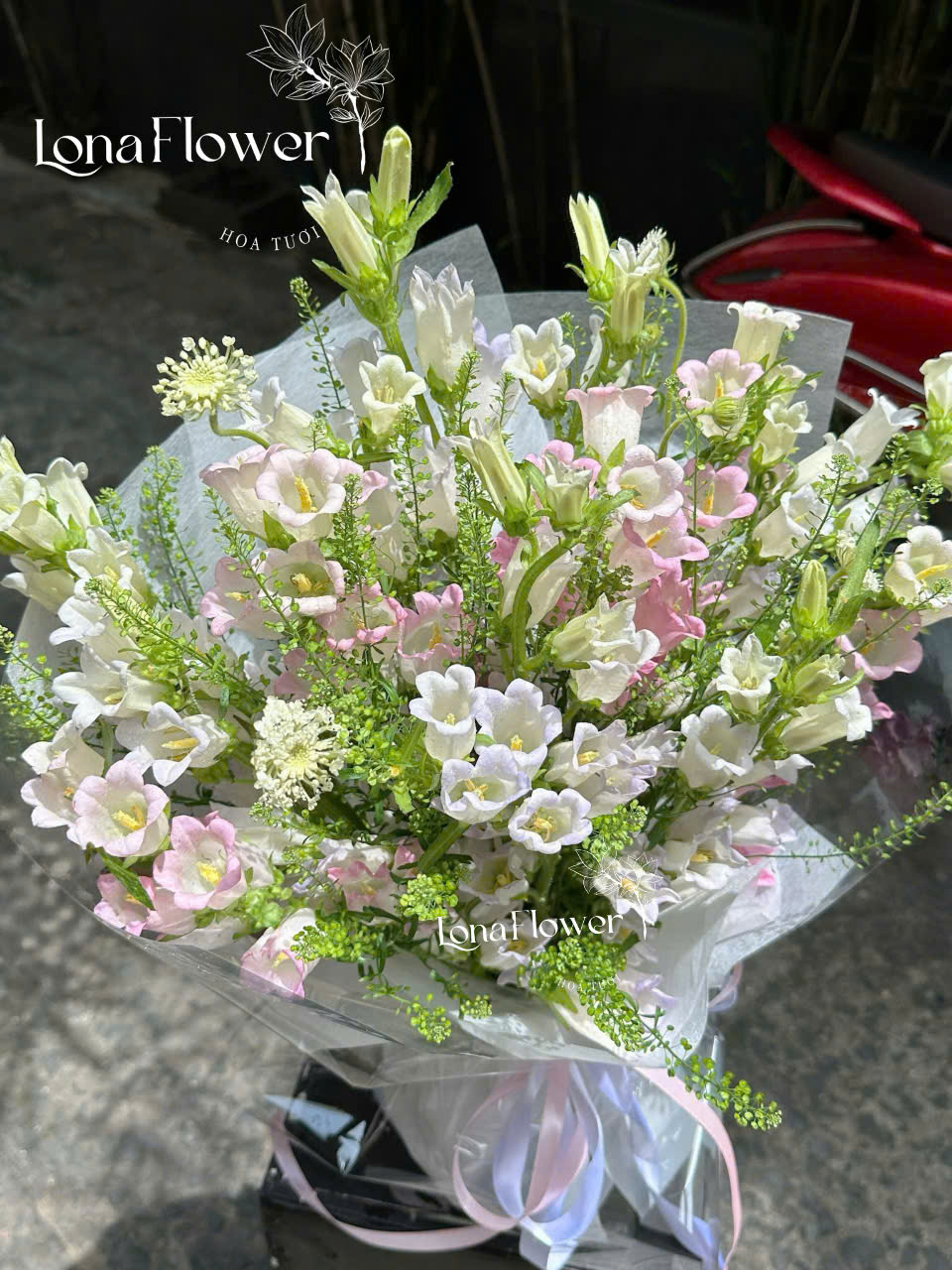 Bó Hoa Chuông Hồng Pastel "Giai Điệu Tình Yêu" Dịu Dàng & Thanh Khiết 🔔💖✨